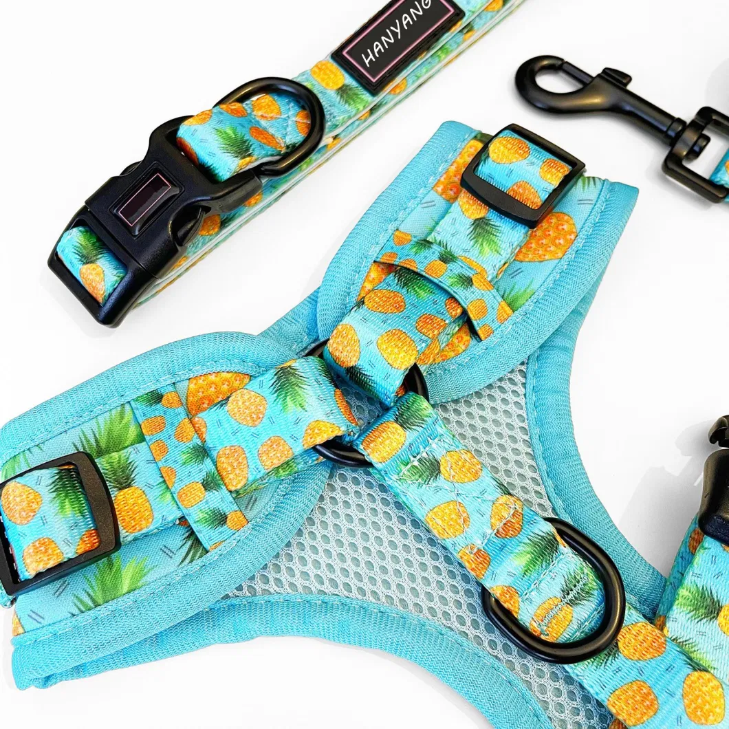 Hanyang Multicolor L Custom Individual Package Xs, S, M, L, XL or Soft Harness Dog Supply