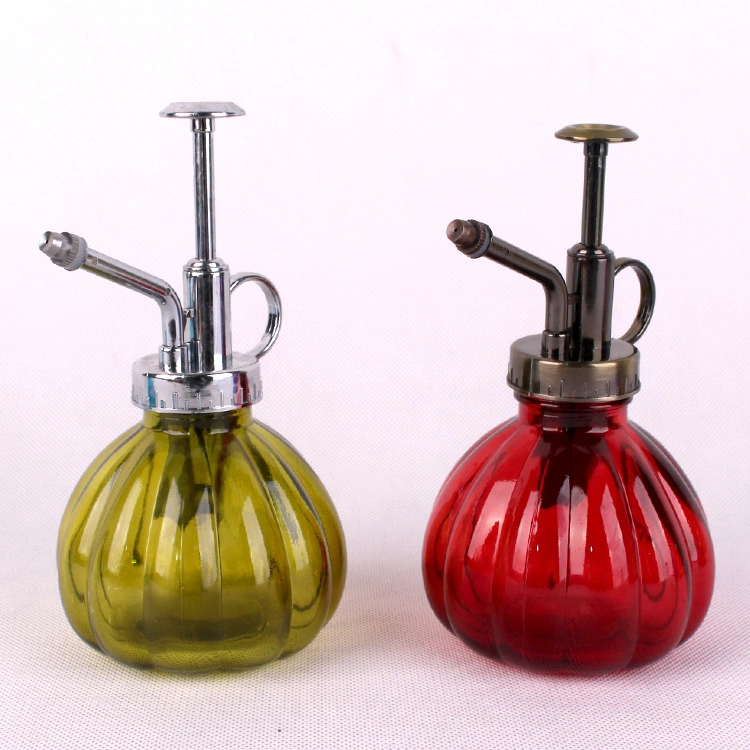 Glass Water Spray Bottle Small Watering Can with Sprinkler